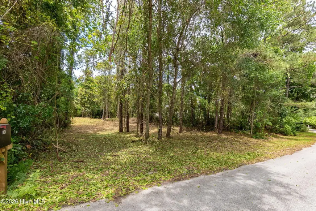 Picture 6