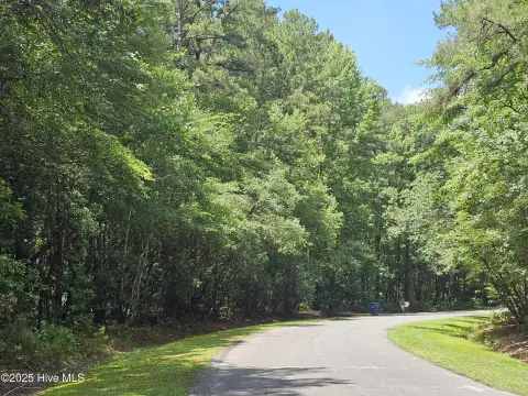 Wooded Lot Near ECU Medical