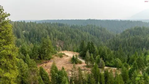 Mountain Hunting Land with Timber