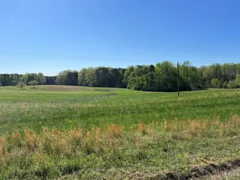 153-Acre Farm Land with Timber