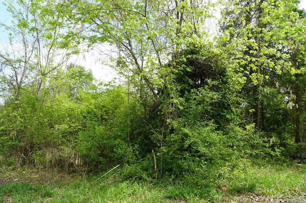 Picture 7