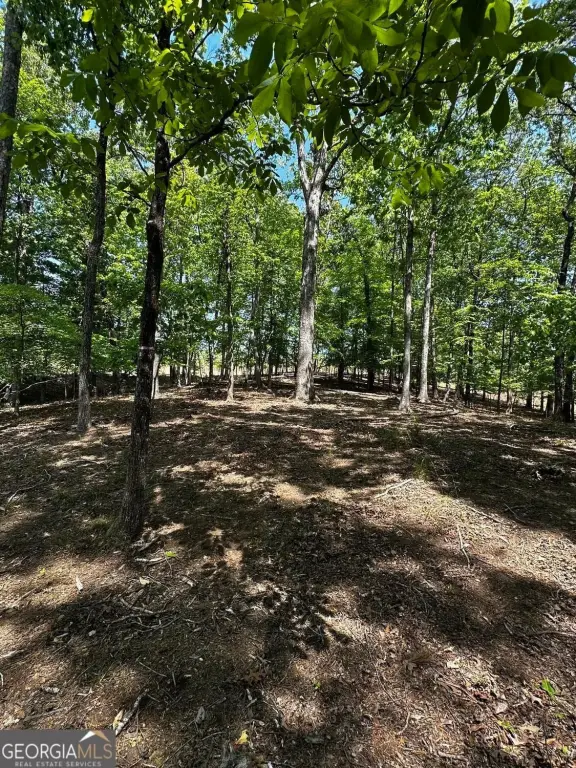 Picture 21