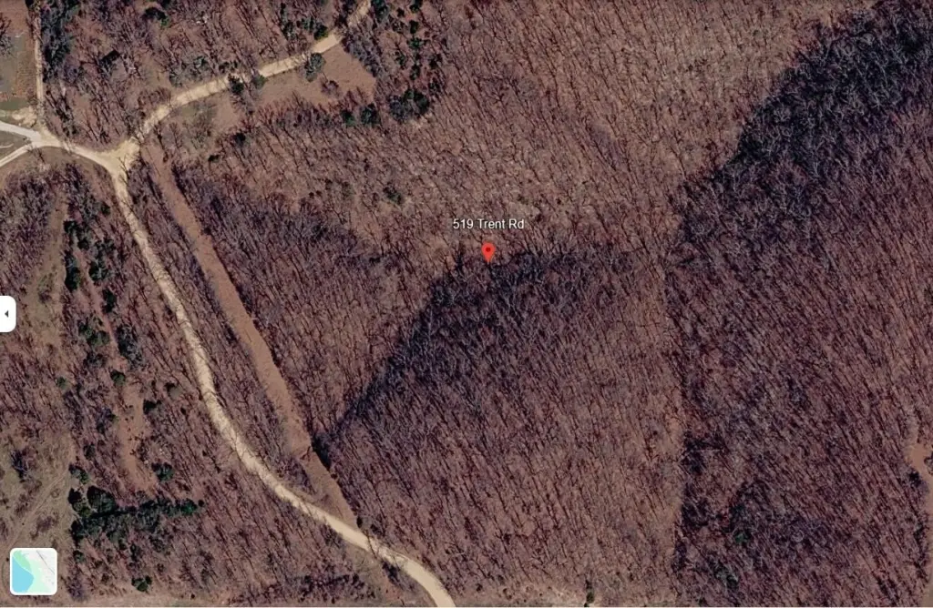 Picture 3