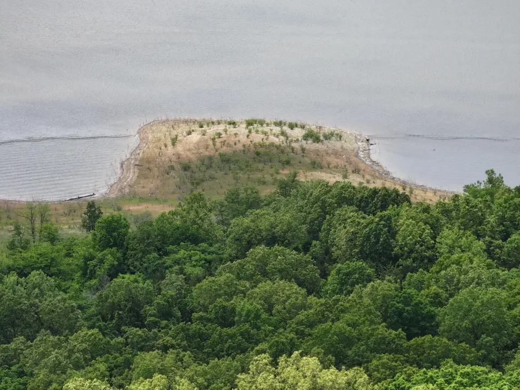 Picture 23