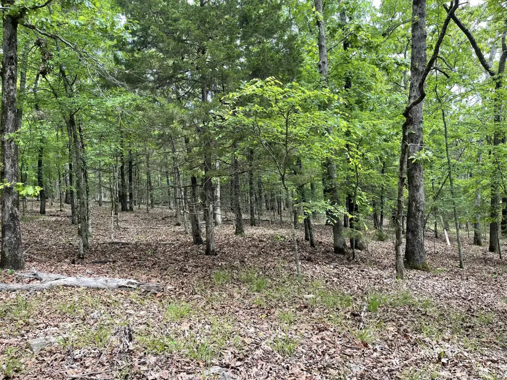Picture 6