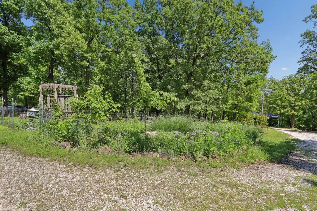 Picture 4