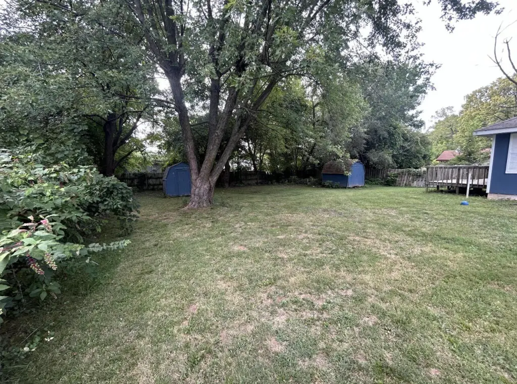 Picture 7