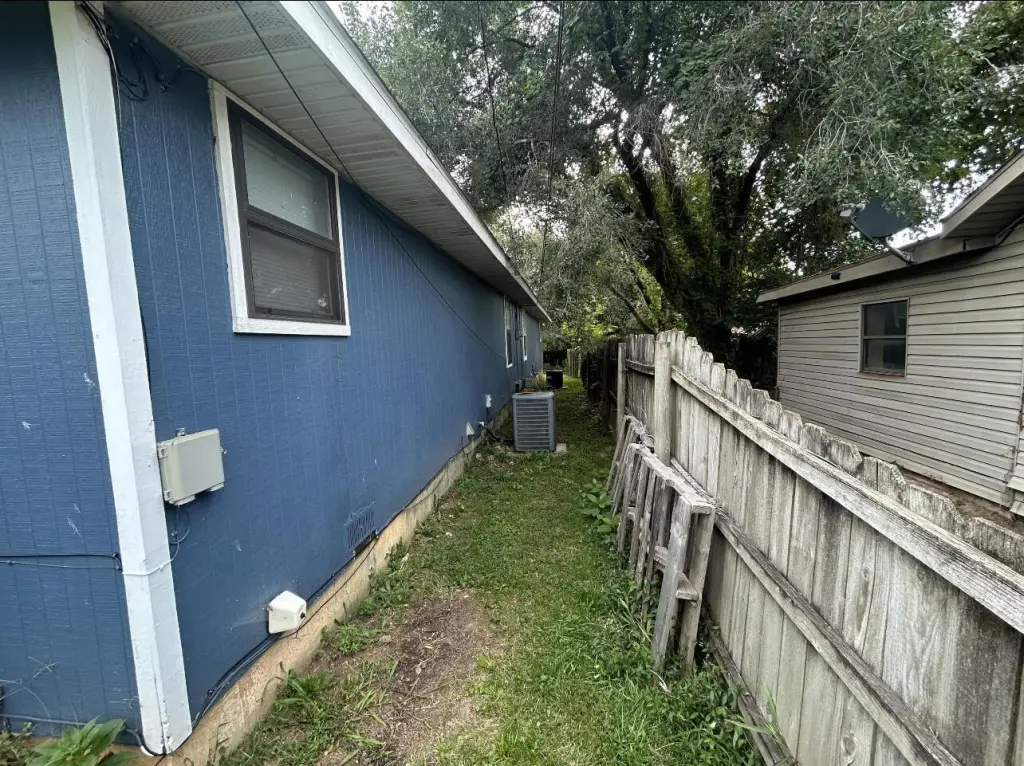 Picture 5