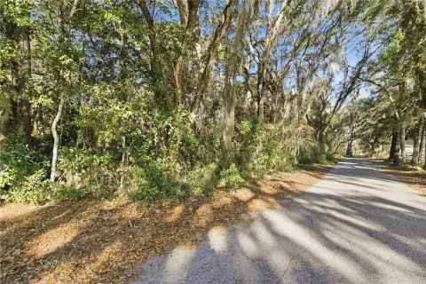 Wooded Lot Near Williston, Florida