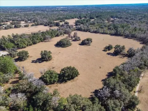 33-Acre Land Parcel in Micanopy