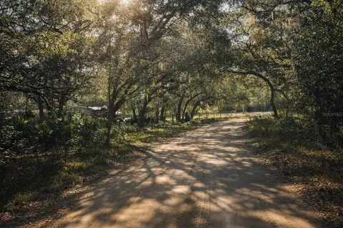 Over One-Acre Wooded Lot