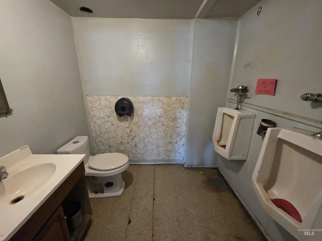 Picture 19