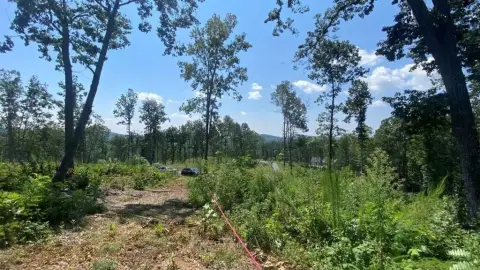 Ready-to-Build Lot with Mountain Views