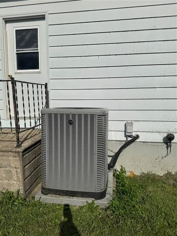 Picture 13