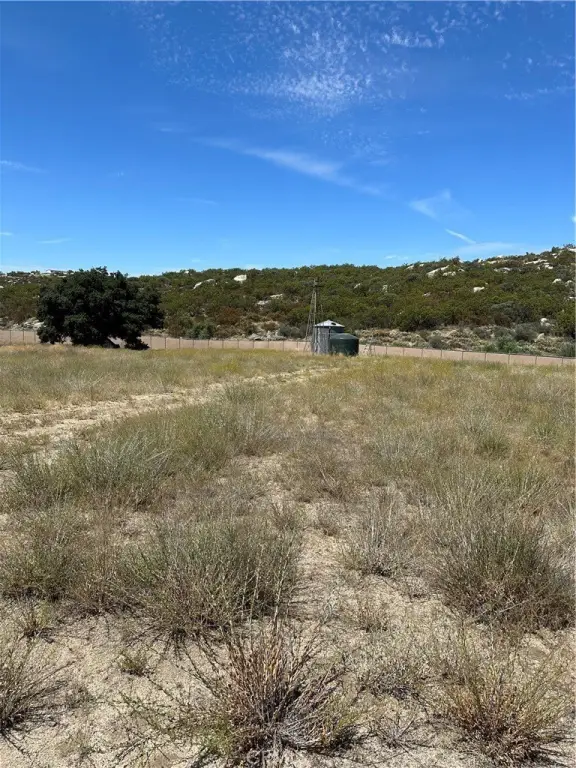 Picture 26