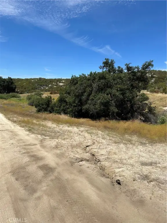 Picture 23
