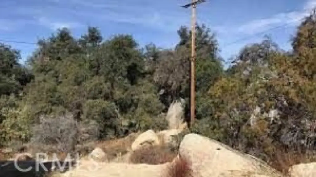 Picture 18
