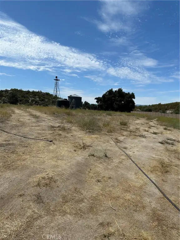 Picture 29