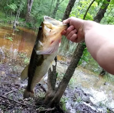 Gated Ranch Community Near Buffalo
