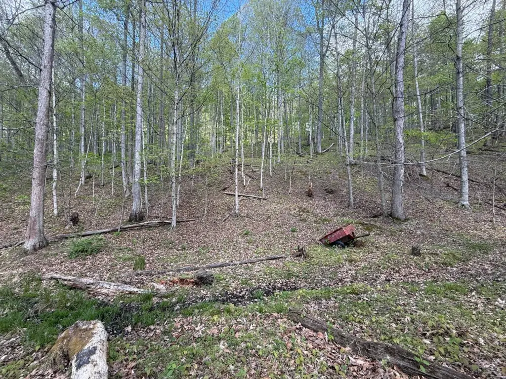 Picture 6
