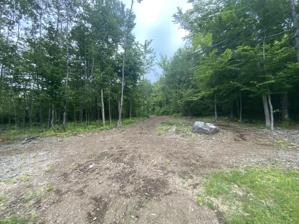 Picture 24