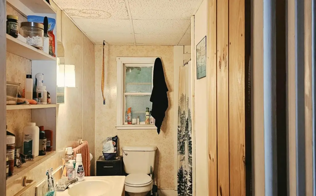Picture 8