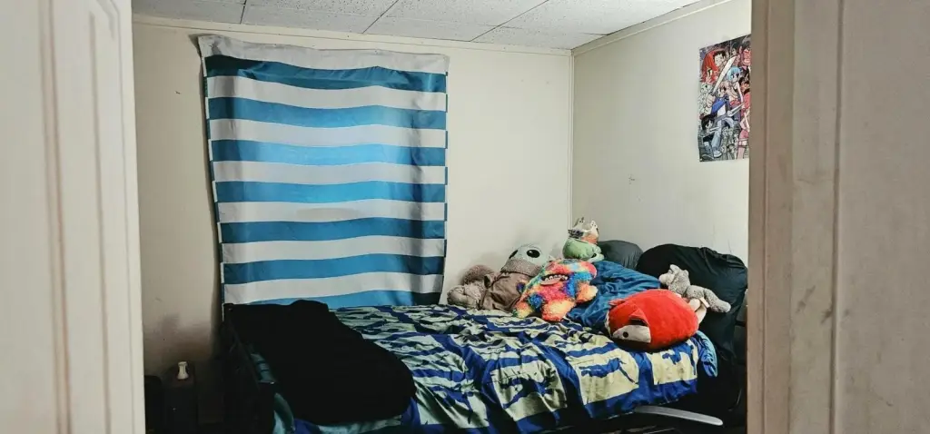 Picture 13