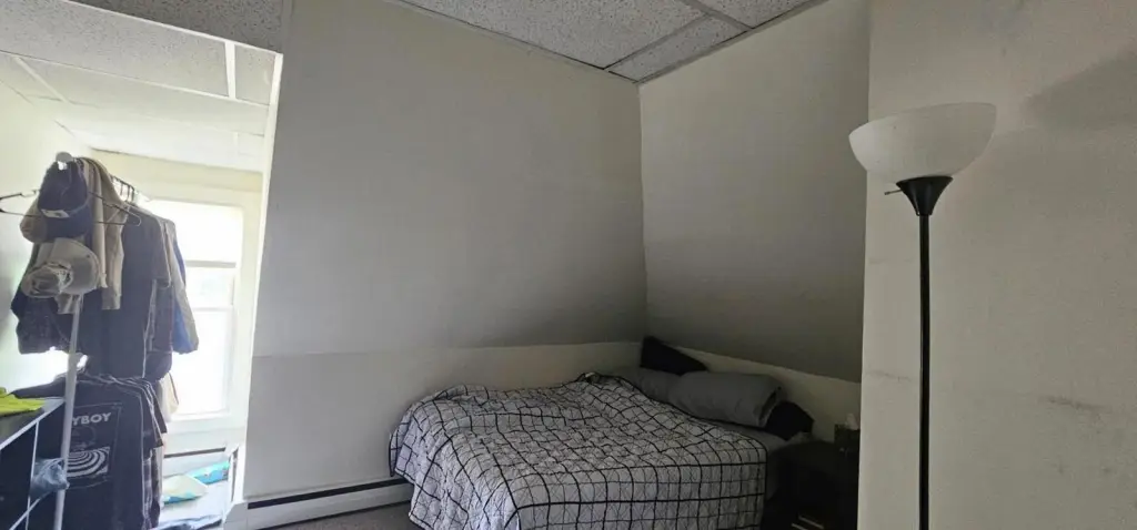 Picture 4