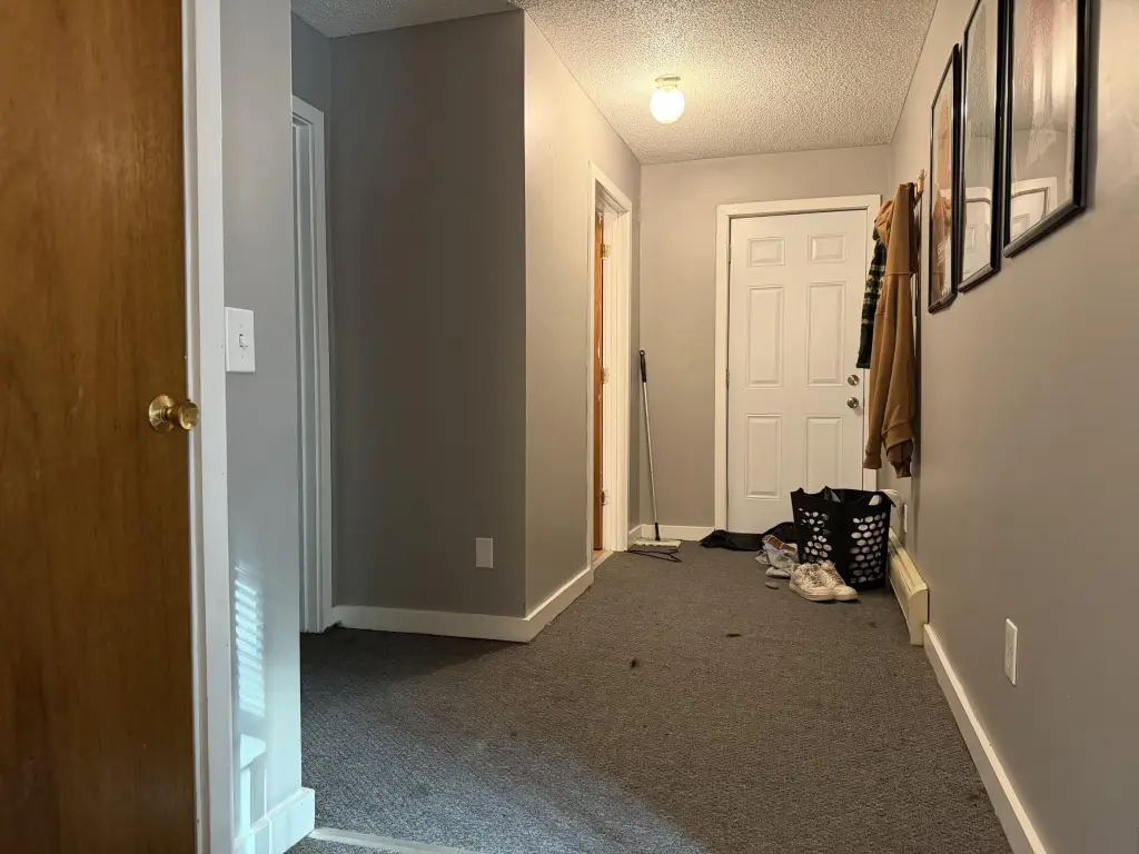 Picture 42