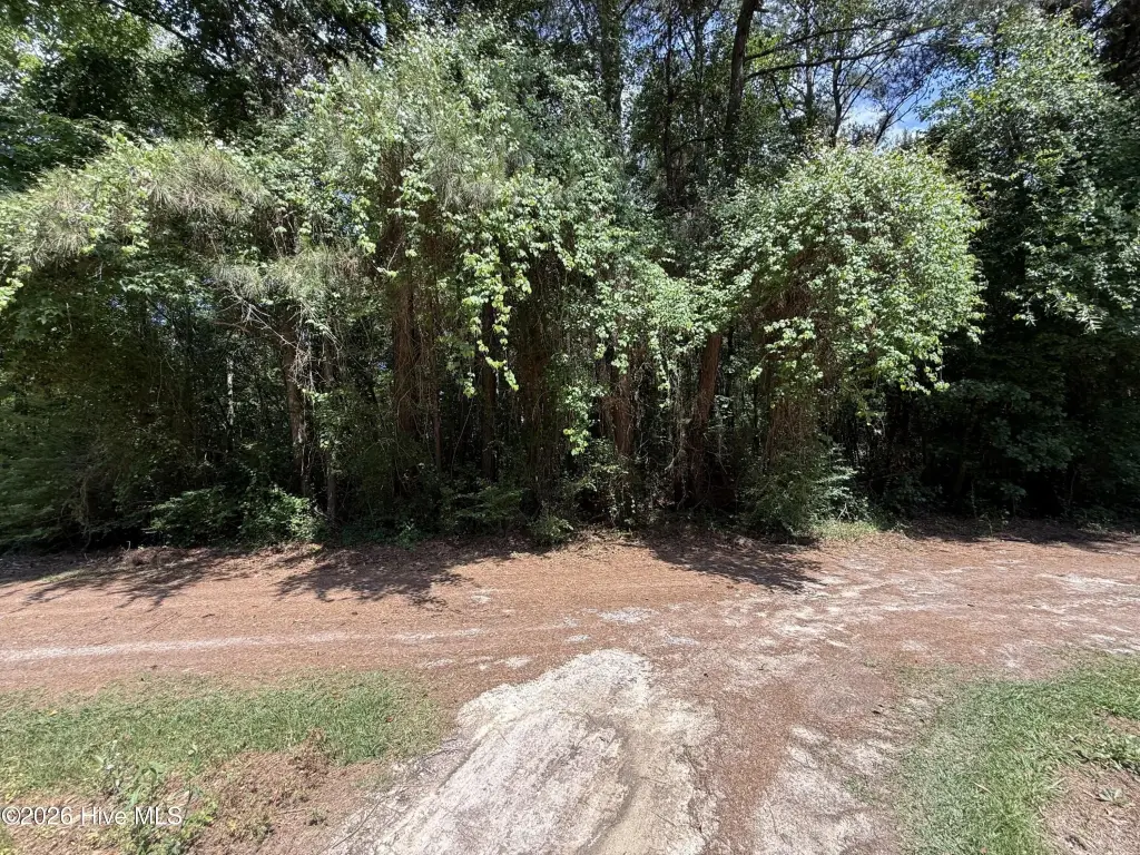 Picture 2