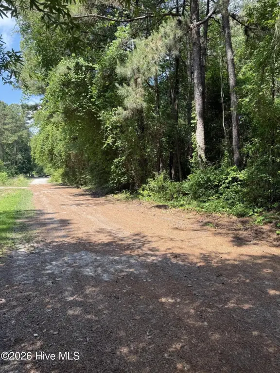 Picture 4