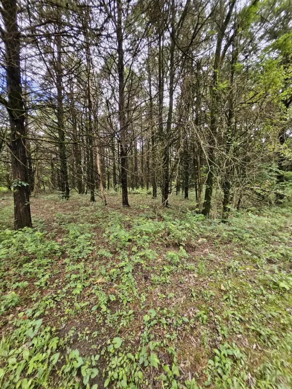 Picture 11