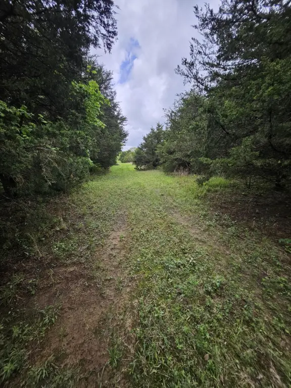 Picture 4