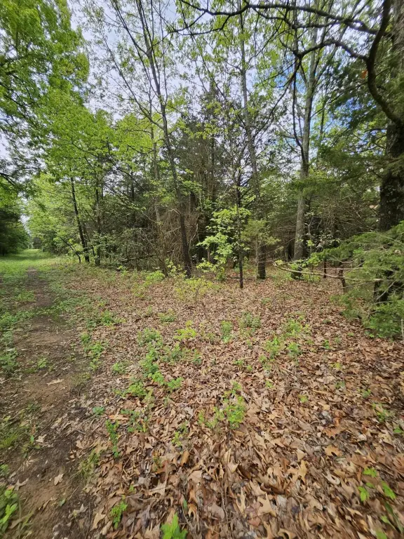 Picture 9