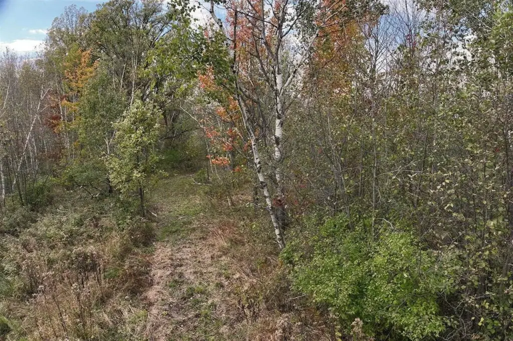 Picture 21