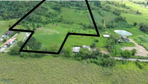 Agricultural Land Near El Yunque