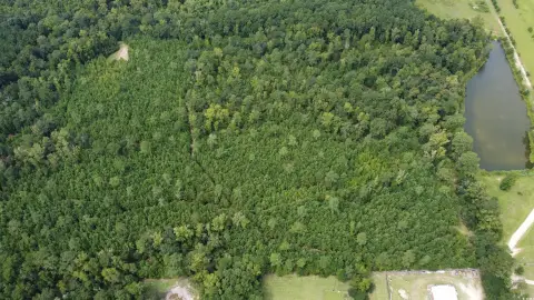 27.65 Acres of Wooded Land