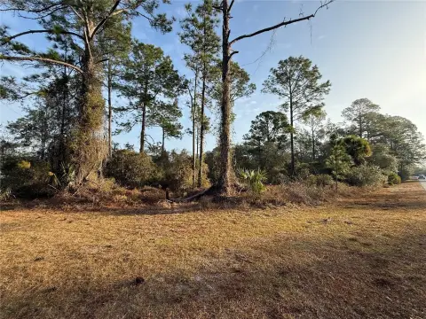 EUSTIS, FL - 1 Acre Lot