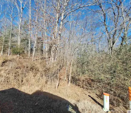 Residential Land in Murray, KY