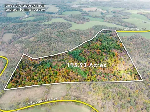 Holmes County Land Auction