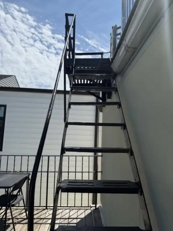Picture 14