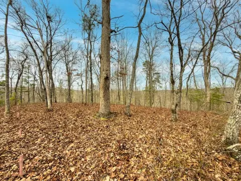 Ellijay Land with Creek Frontage