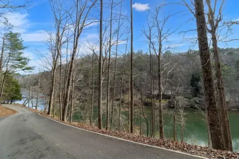 Mountain Dream Lot in Ellijay