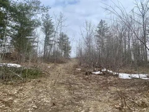 Residential Land in Gaylord, MI