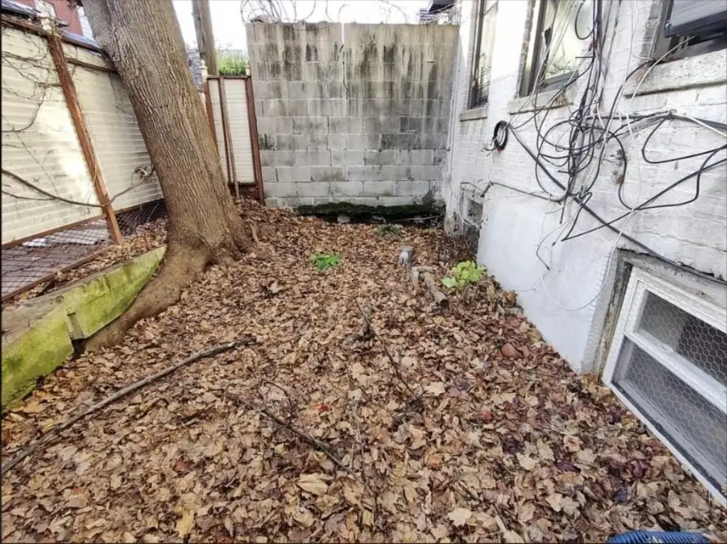 Picture 15