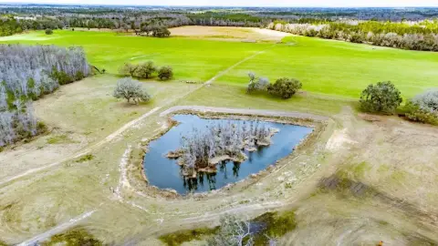 Turn-Key Ranchland with Mobile Home