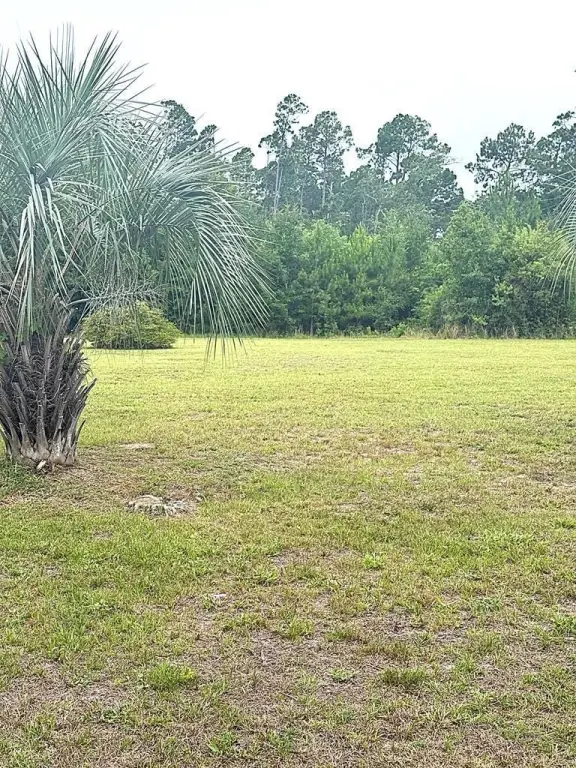 Picture 15