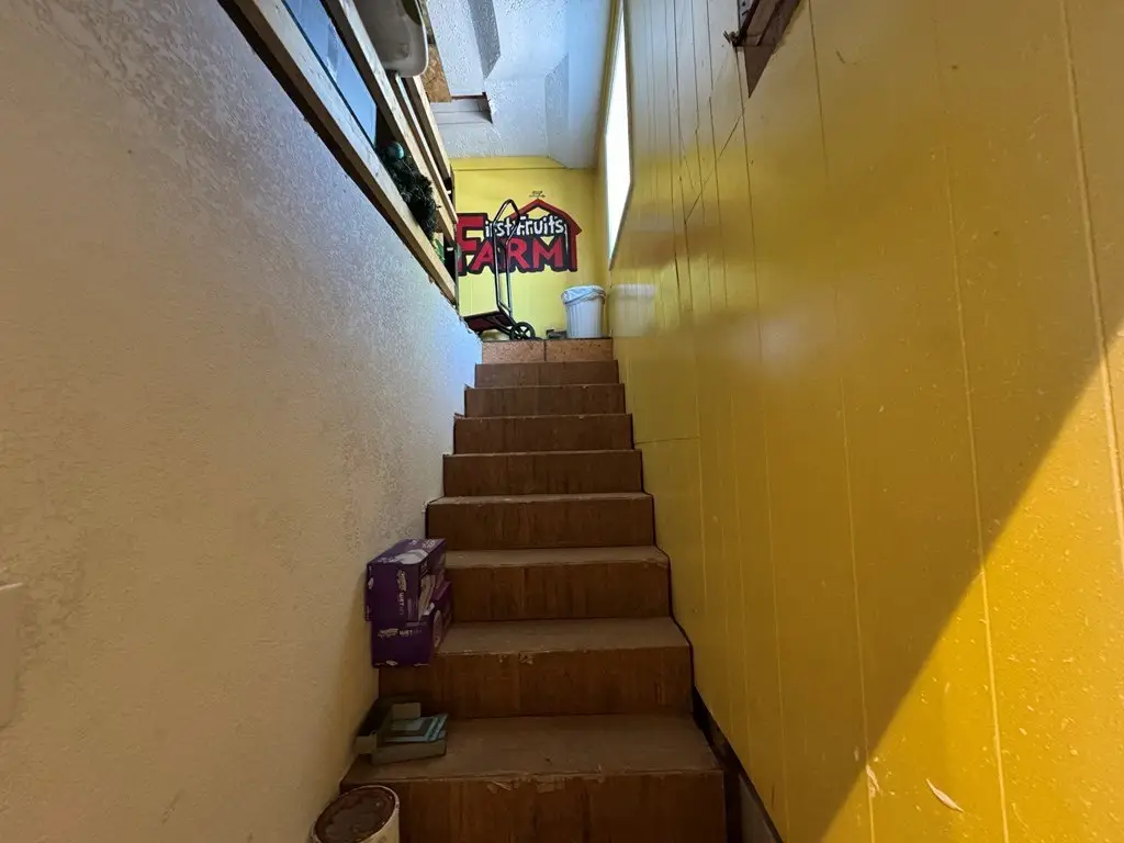Picture 17