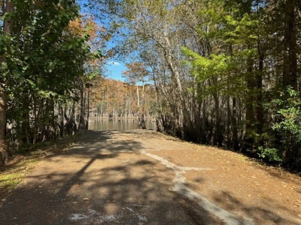 Picture 4