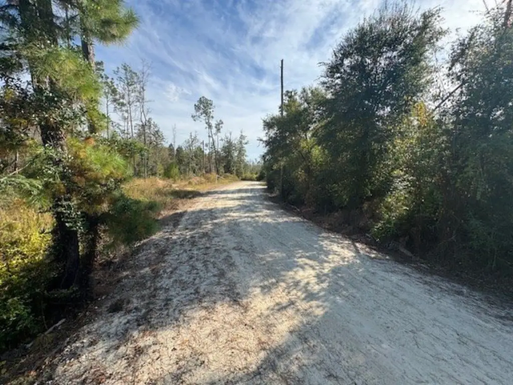 Picture 14
